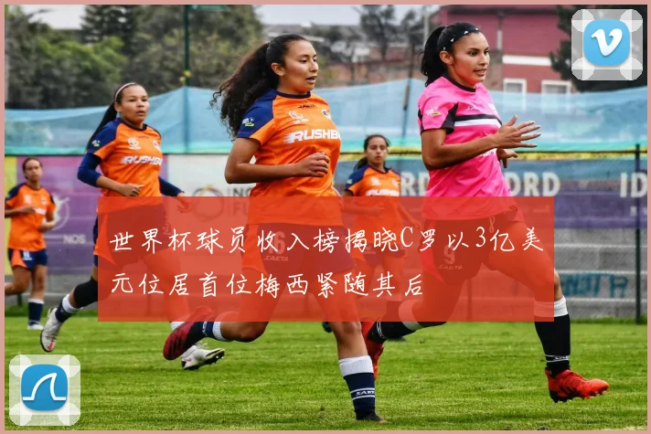 世界杯球员收入榜揭晓C罗以3亿美元位居首位梅西紧随其后
